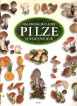 das-grosse-buch-der-pilze-in-wald-u.-flur